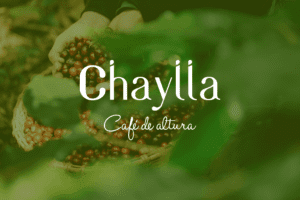 Proyecto Chaylla Dislúmina