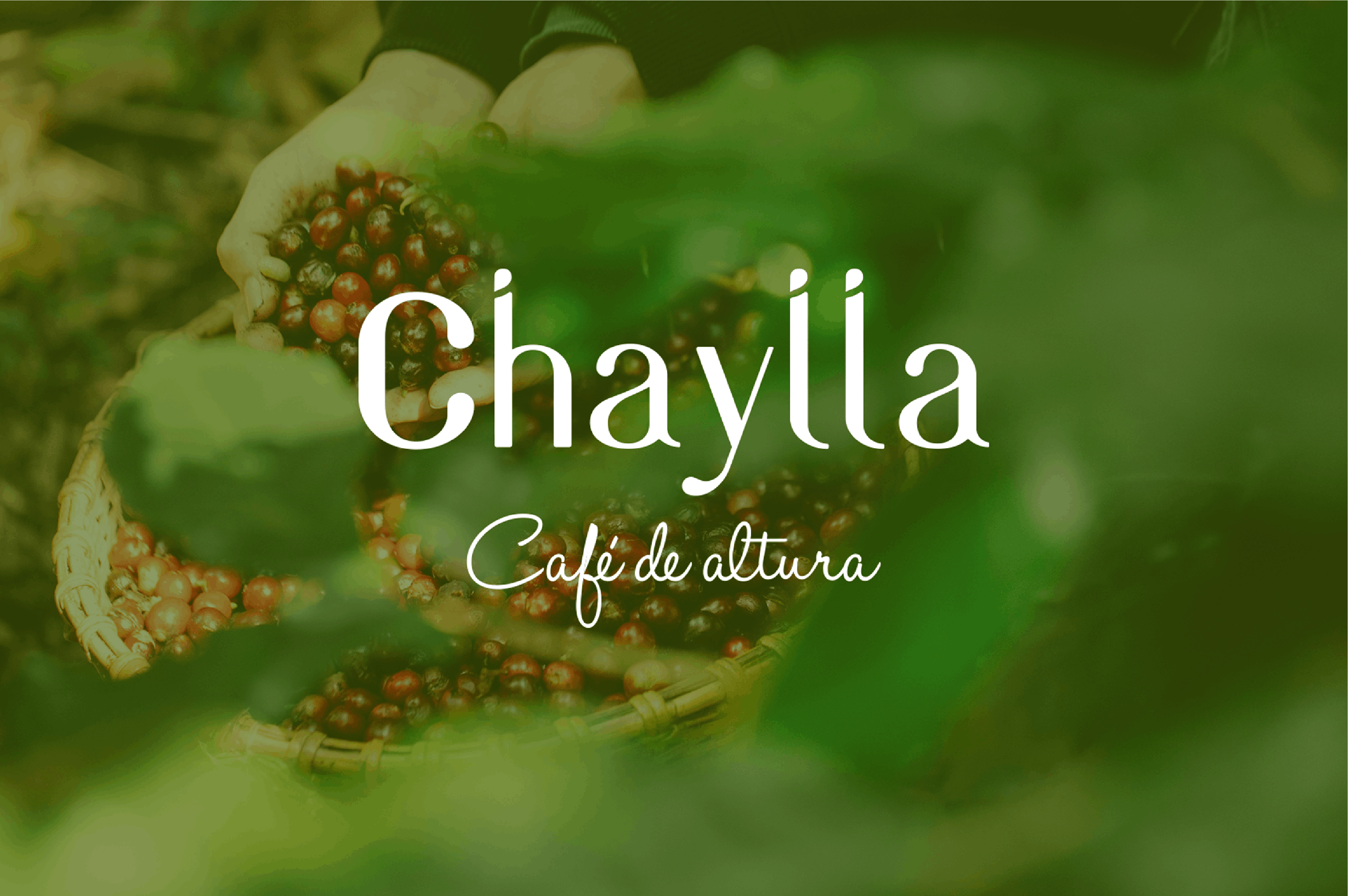 Proyecto Chaylla Dislúmina